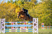 _AJG2977