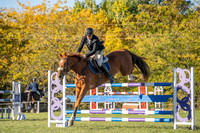 _AJG2980