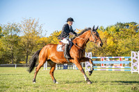 _AJG2985