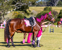 BRC - Pink Funkahana - Hacking - 26.04.2026