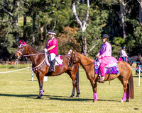 BRC - Hack Ring 3 - 26.04.2026