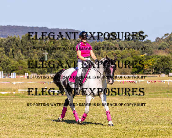 KMS-5493