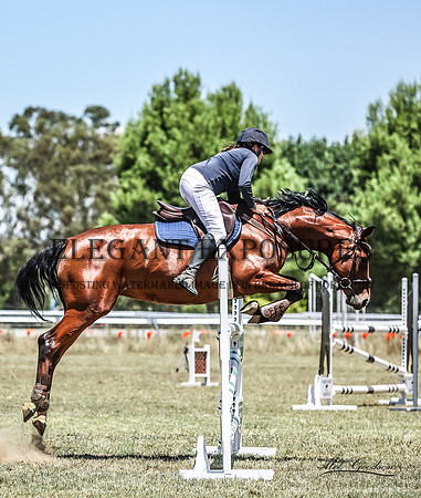 MKG_2219