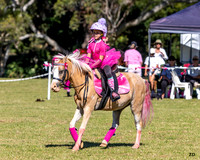 BRC - Pink Funkhana - 26.04.2026