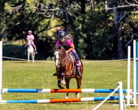 ZJD-5680