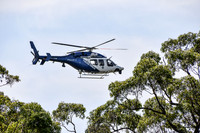 NYK-OS-5615