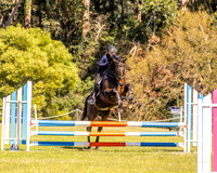 BRC - SJ - 80cm - 27.04.2026