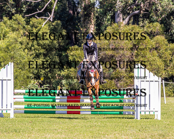 KMS-6631