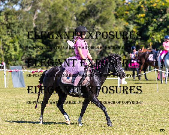 ZJD-5899
