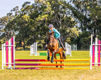 BRC - SJ - 45cm - 27.04.2026