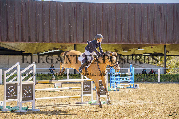 _AJG2013