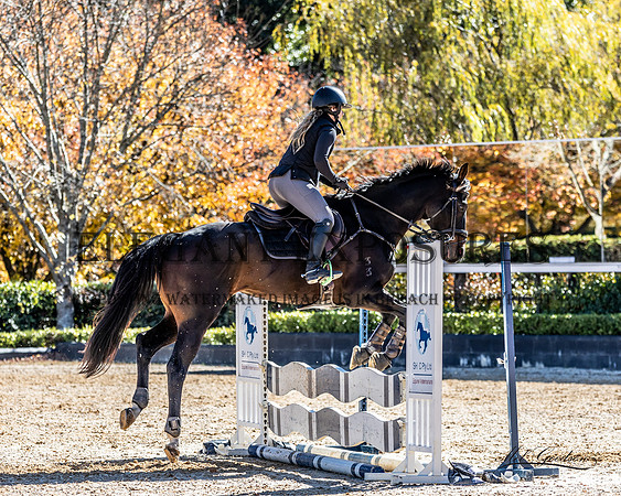 MKG_2075