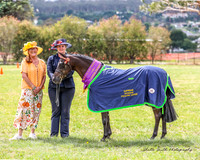APSB - Goulburn - Ring 1 - 26.01.2025