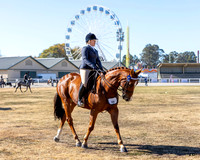 RBS - Friday - Show Horses - 01.05.2026