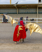 MAS_5158