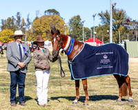 Bathurst Royal - Friday -  01.05.2026