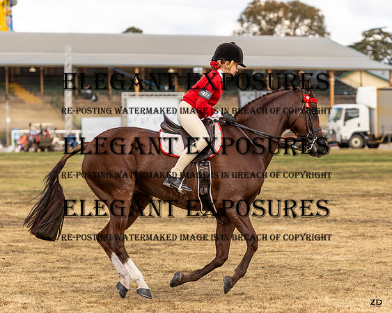 ZJD-9276