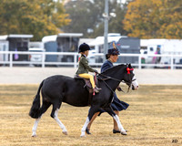 ZJD-9632