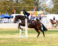 RBS - Saturday - SJ - 60cm - 02.05.2026