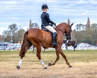 RBS - Saturday - Ring 1 - 02.05.2026