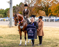 RBS - Saturday - Show Rings - 02.05.2026