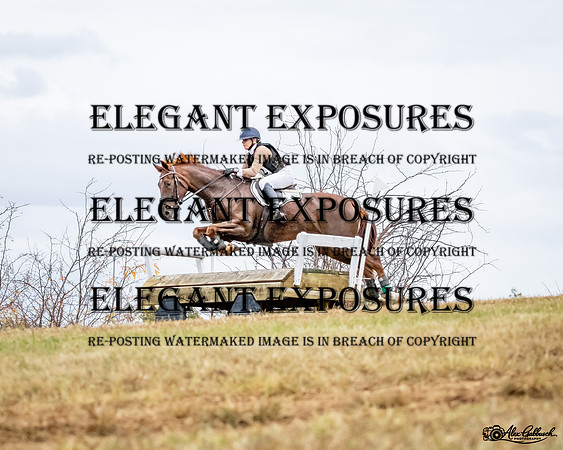 AG_6709
