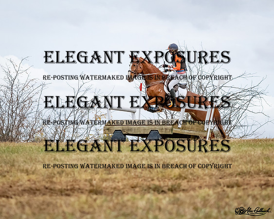 AG_6919