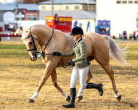 ZJD-2469
