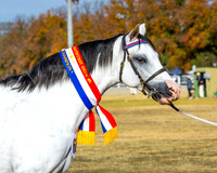RBS - Sunday - Ring 2 - 03.05.2026