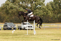 LHL(AJG)_4045