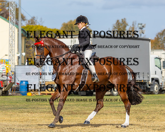 MASX5872