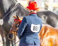 MASX6209
