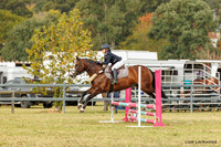 LHL(AJG)_3810