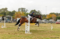 LHL(AJG)_3825