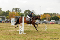 LHL(AJG)_3826