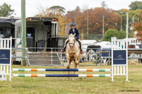 LHL(AJG)_4747