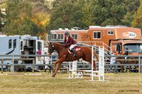 LHL(AJG)_4817