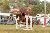 LHL(AJG)_4833