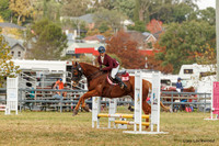 LHL(AJG)_4834