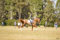 _AJG5149