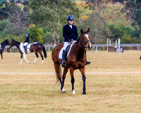 Equestriad - Dressage - CD11 - 02.05.2026