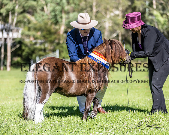 MKG_6325