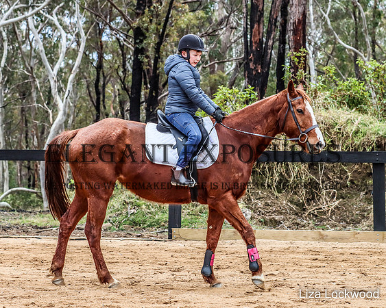 LHL-8164