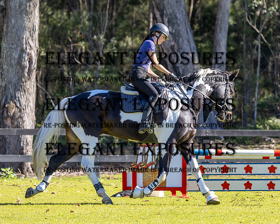 MASX6693