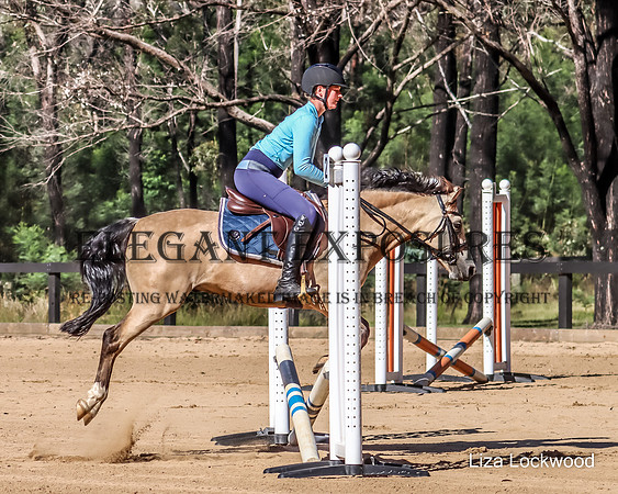 LHL(MG)-14
