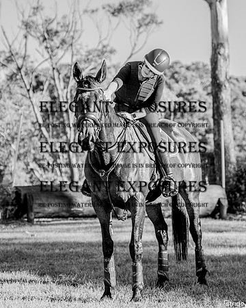 _LMW8315