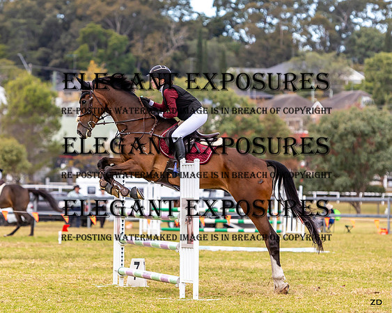 ZJD-5442