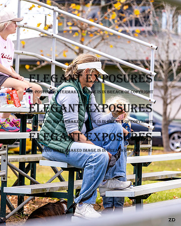 ZJD-5221