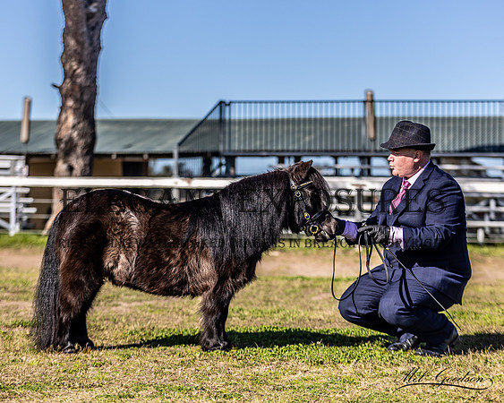 MKG_6038