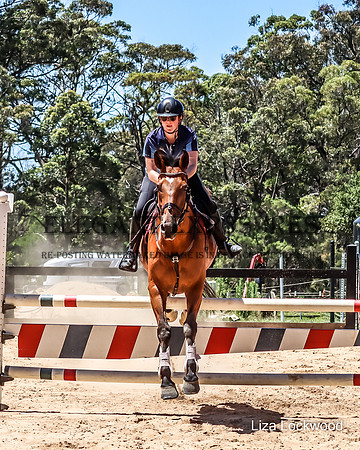 LHL(MG)-528